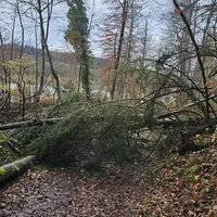 Einsatz_66_01