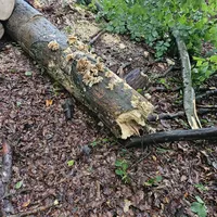 Einsatz_38_04.jpg