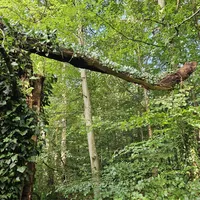 Einsatz_53_04.jpg