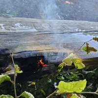 Einsatz_27_01.jpg