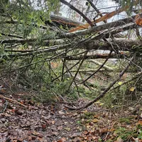 Einsatz_66_02