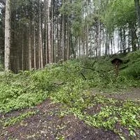 Einsatz_29_01