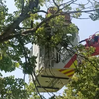 Einsatz_23_02.jpg