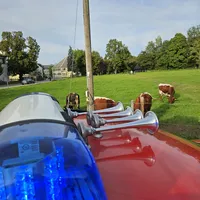 Einsatz_39_01.jpg