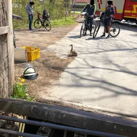 Einsatz_18_05