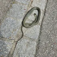 Einsatz_30_01.jpg
