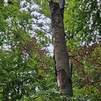Einsatz_38_02.jpg