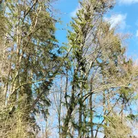 Einsatz_08_01